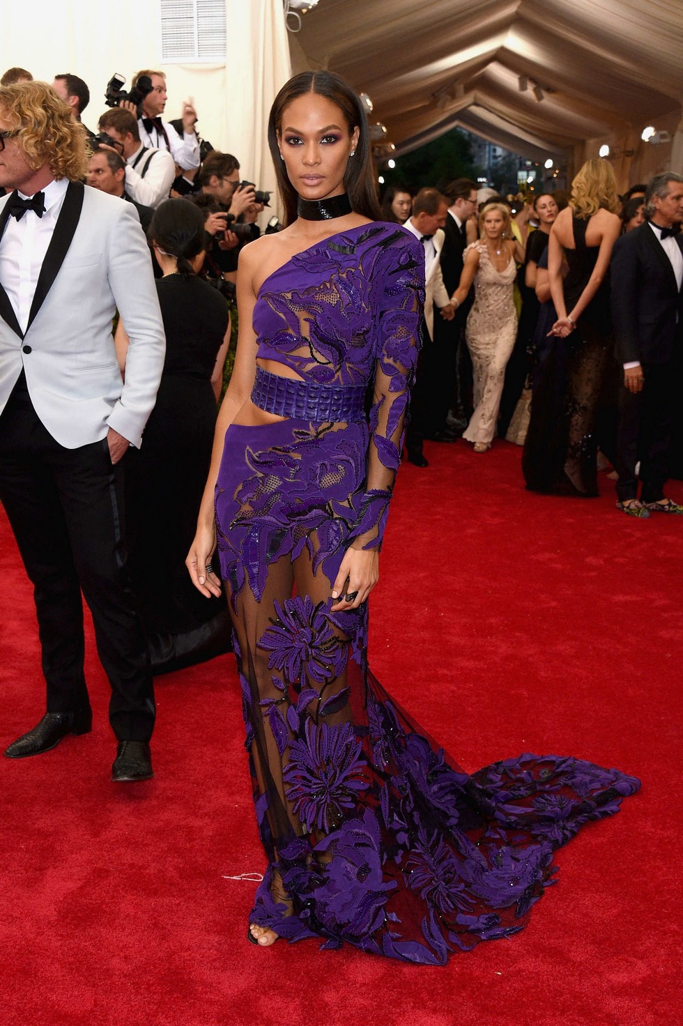 MET Gala 2015 Red Carpet The Stunning Italian Fashion Brands Dresses-Joan Smalls Roberto Cavalli