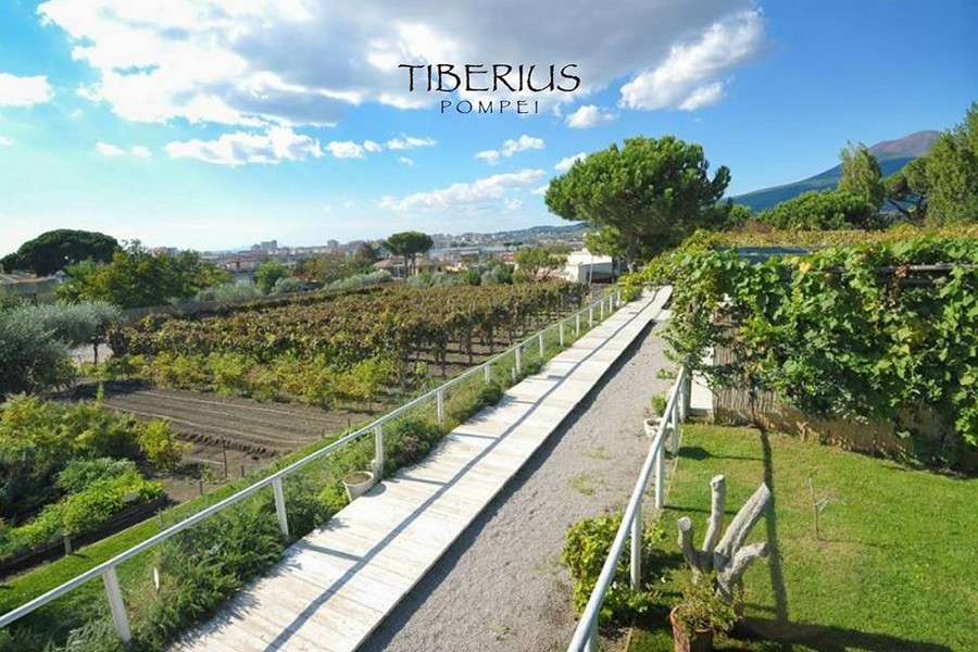 Discover The Incredible Ambiance of Tiberius Pompei!
