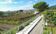 Discover The Incredible Ambiance of Tiberius Pompei!