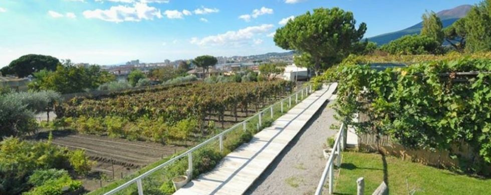 Discover The Incredible Ambiance of Tiberius Pompei!